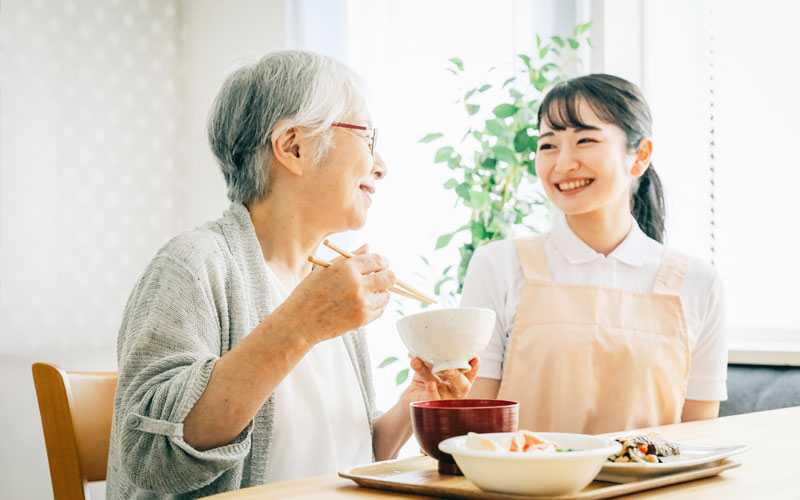 介護型ヘルプサービス